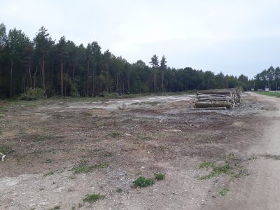 Teritorijas labiekārtošanas pakalpojumi